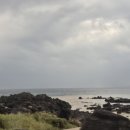 신도1리 | 제주 돌고래 스팟🐬 노을해안로에서 만난 행운｜출몰시간·잘 보이는 곳·꿀팁