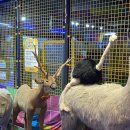 서프라이즈 시티 안양점 이미지