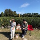 스테이 뒷빌레 이미지