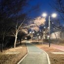 6월 서브4 훈련 스케줄 공개 | 84kg 대디러너의 LSD 20→24km 우상향 4주 플랜 (10월 풀마 빌드업)