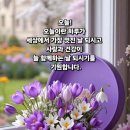 동수천로 이미지