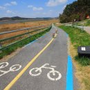 금강올레길 이미지