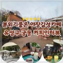 한밭대로 | 커피인터뷰 궁동 유성구 야외 테라스 카페 낮에 즐기는 야장감성 카페 후기