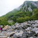 달마고도 이미지