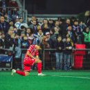 팀리스펙트 이미지