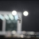 맥과이어스 포항점 이미지