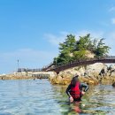 장호항B(어촌체험마을 주차장) | 동양의 나폴리, 삼척 장호항 스노클링 솔직 후기!(feat. 투명카누)