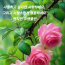 사랑이야기