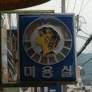 미용-이용싸인볼 2