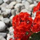 해사행정사무소 이미지