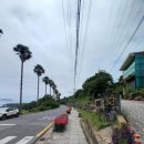 제주특별자치도지체장애인협회 서귀포시지회 이미지