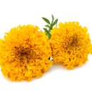 블루웨이(Blue way) 이미지