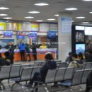 배표천국