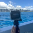 하와이 | 하와이 거북이 스노클링 투어 후기 | 예약 꿀팁