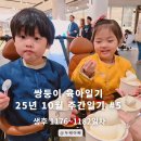 1176 | 2025-10 주간 육아일기 #5 - 쌍둥이 생후 1176일차~1182일차