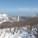 (주)대궁