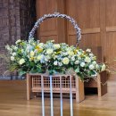 원주제일 이미지