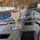 거목농장 이미지