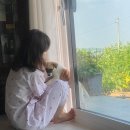 테누토 이미지