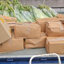 대한사회복지원 이미지