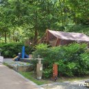 진밭골야영장 이미지