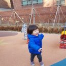 사우촌공원 Daum카페