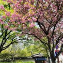 경상감영공원 이미지