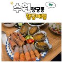애월사랑 | 수원 행궁동 맛집 |제주컨셉 행궁애월 찐 후기