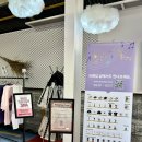 더맨모터스 | 비비X브랜딥 밤양갱 팝업스토어 3월 팝업 성수 가볼만한곳 팝업스토어 후기