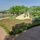 감문국이야기 이미지