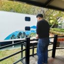 학동자동차야영장아영장 이미지