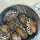 전복총각 | 완도활전복 추천 내돈내산 재구매 완도총각네수산물 전복미역국 솥밥