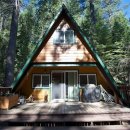 Tiny Cabin In California, Camouflaged In The Woods - 소형주택 이미지