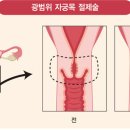 경부