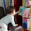 딸기미용실 이미지