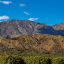 한글2010 활용 이미지