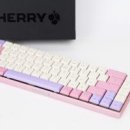 핑크피씨 이미지