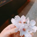 육풍 익산 부송점 네이버블로그