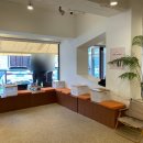 연희도그 이미지