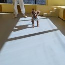 오로지몽 강아지유치원 이미지