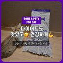포캣 | 본아페티 슬림앤조인트케어포캣 후기｜고양이 관절 &amp; 체중관리 사료, 감자가 반한 인생 사료 💜