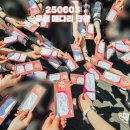 (주)세영엠디 | 5월 넷째 주부터 6월 첫째 주 (사실상 관극)기록