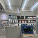 트윈스동물병원 | 창동 딜라이트 동물병원 후기