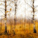 스마트폰으로 감성사진찍기 | 📱 스마트폰으로 감성 사진 잘 찍는 구도 꿀팁 ✨