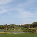 대사동로 이미지