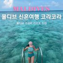 초록별여행사 | 몰디브 신혼여행 경비 가성비 리조트 추천 코라코라 객실 후기