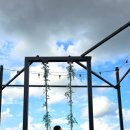 라라랜드 풀빌라 이미지