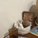 샌드페이버