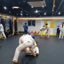 팀제이유