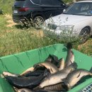 달월 낚시터 이미지